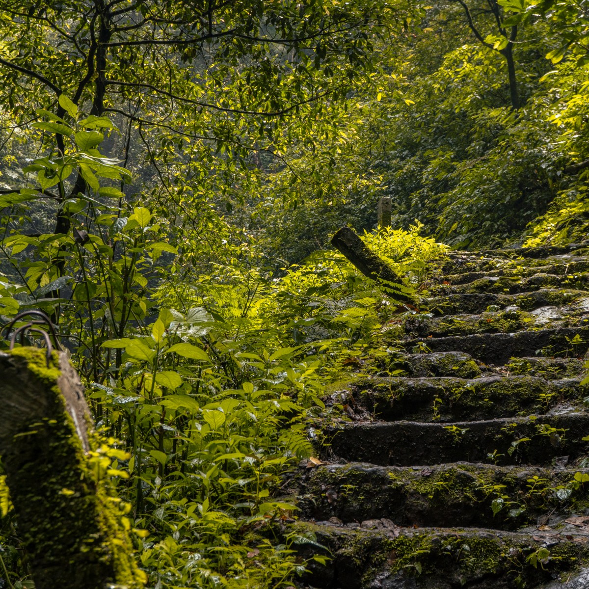 I Walk as In My Father’s&nbsp;House